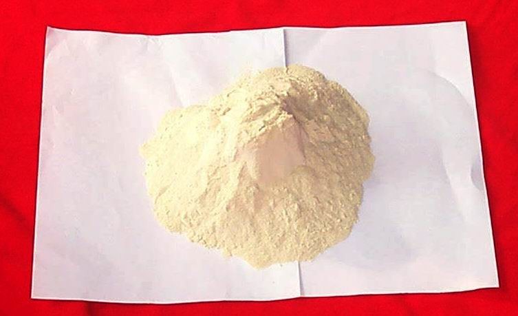 Vital wheat gluten powder for baking food production additive