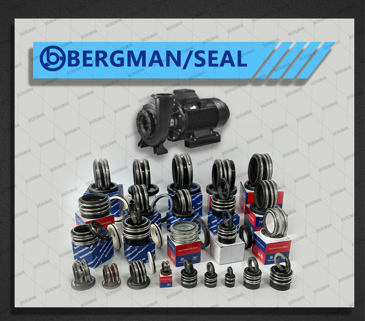 BERGMAN Replaces Hyster 28.6mm 38.1mm 50.8mm 76.2mm 95mm 100mm Pump Mechanical Seal