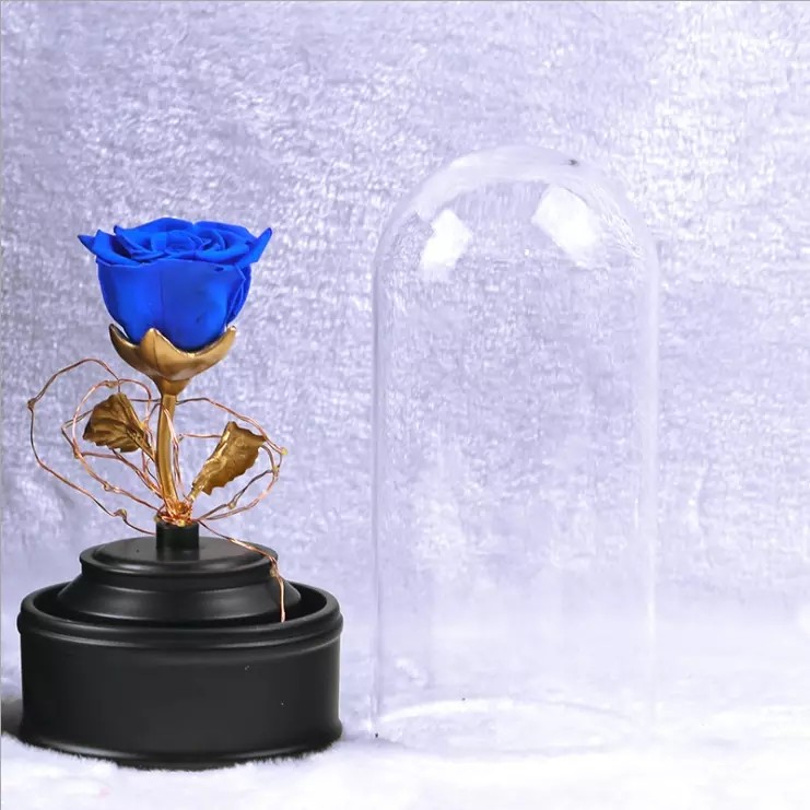 High quality long lsting preserved rose in glass with lid light