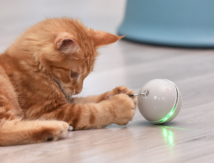 Pet Cat Toy BallBlue USB Smart LED Light Rechargeable Interactive Automatic Rolling