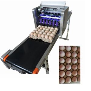  Convenient Moving Egg Code Printing Machine With Personalized Integration Frame Manufactures