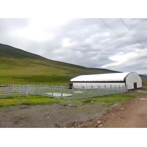 Livestock Shelter Dairy Farm Barn Custom Steel Structure Cow Shed For Live
