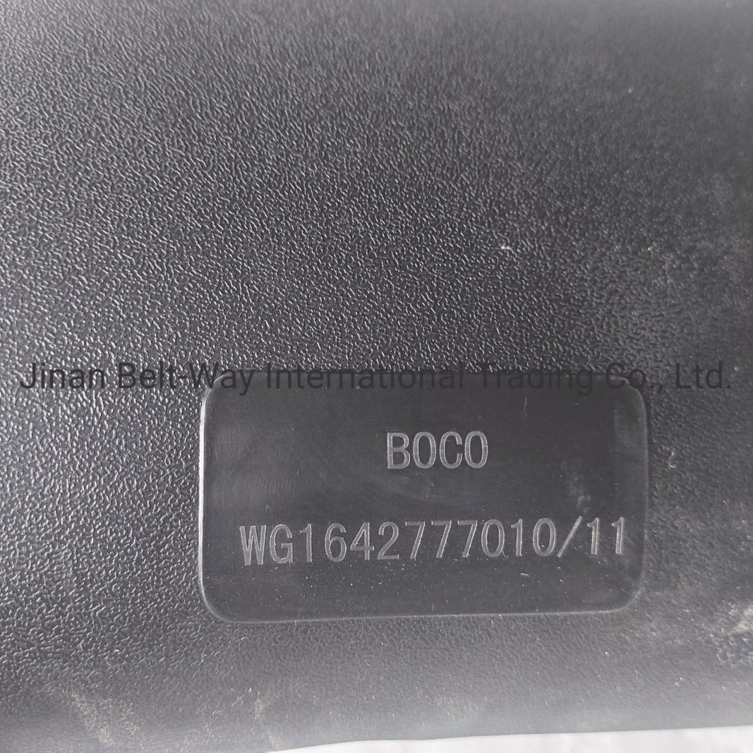 High Clearly Rear View Mirror Wg1642777010 Sinotruck HOWO Truck