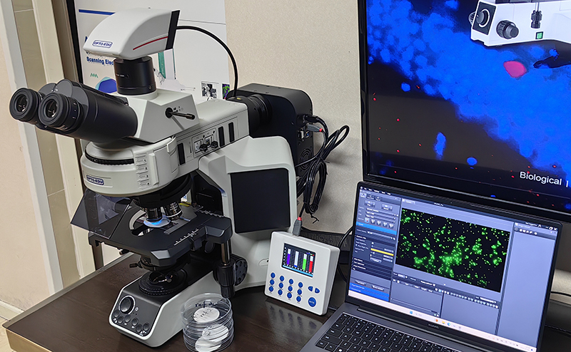 Opto Edu A16.2253 Fluorescence Microscope Infinity Plan Achromatic Optical System