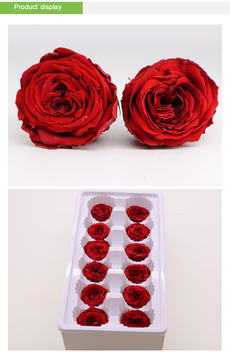 Preserved austin rose flower rose head Valentines wedding ladies gift
