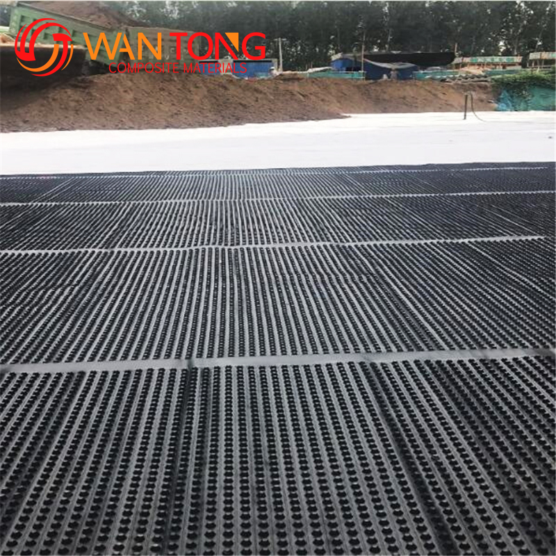 2m-3m Width HDPE Drainage Board Cell for Eco-friendly Construction at Affordable