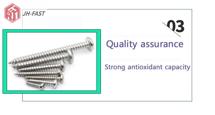 100% Inspection Stainless Steel 304 Self-Tapping Screws for Custom Customization