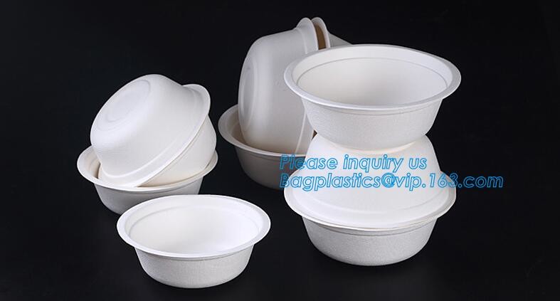 Meal Prep Containers Free Sample Bento Lunch Box Biodegradable Food Container Plastic Wheat Straw Lunch Box bagplastics