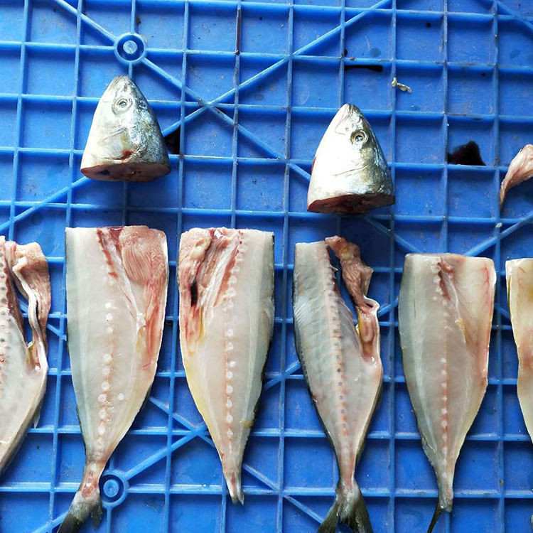 1500w Fish Fillet Processing Machine Reduce Artificial Motor Commercial