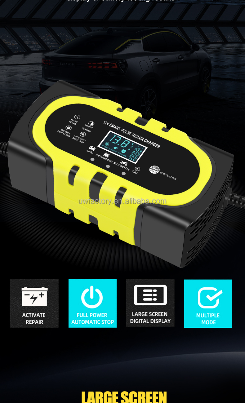 Automatic Maintainer 12V10a 12v20a 12v 30a Smart Charging Pulse to Repair Battery Charger with Overcurrent Protection