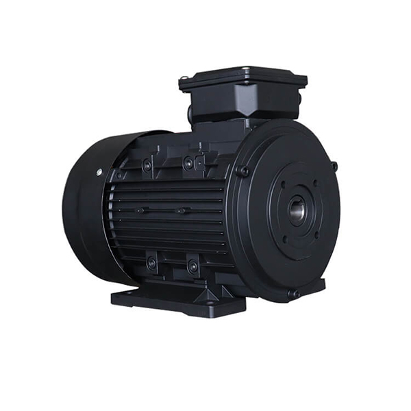 hollow shaft electric motor