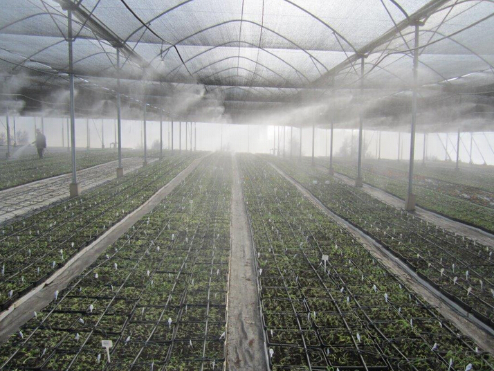 50mm Irrigation Solenoid Valve Working Temperature 80 Degree 0.1-1.04Mpa