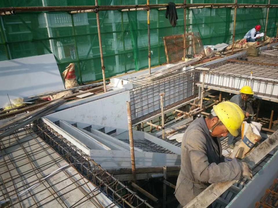 Building Lightweight 1220x2440×12mm Plastic Concrete Wall Forms
