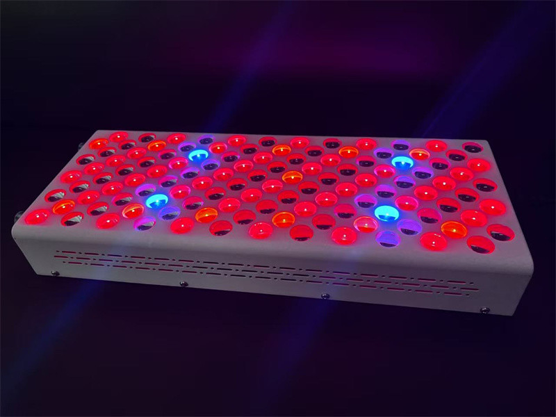 600w Body Care Red Light Therapy Device Red Nir Spectrum Customization For Flawless Skin