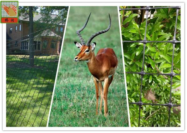 BOP Deer Netting, Deer Fence Netting, Plastic Netting, UV Protected, 100 Feet