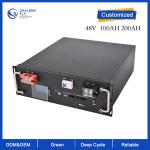 ODM OEM LiFePO4 lithium battery Pure Sine Wave Inverter LiFePO4 lithium battery
