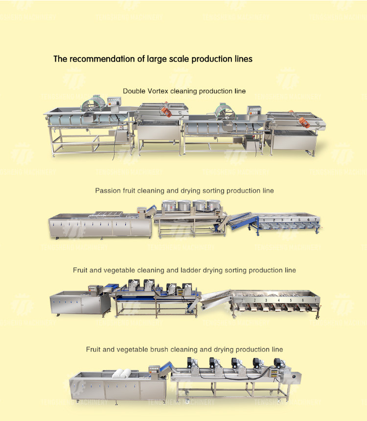 SS Industrial Vegetable Fruit Processing Machine Orange Lemon Juice Extractor