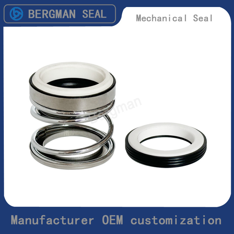 BERGMAN 108-8mm-60mm Submersible pump Pipeline Pump Mechanical Seal