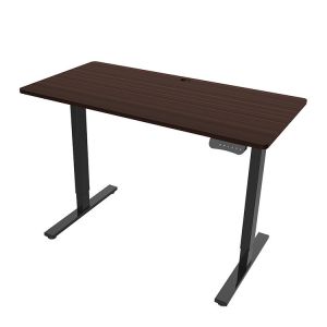 Electric Sit Stand Study Table for Kid Memory Setting and Adjustable Height