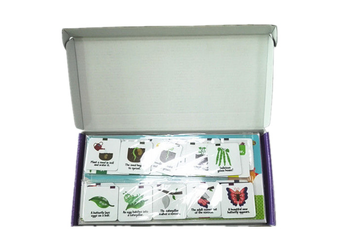 Exclusive Design Self-checking Fridge Magnet Activity Set with Customized Magnets