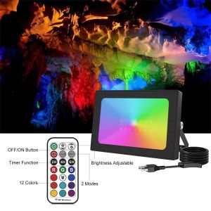 RGB Waterproof LED Flood Light With Remote Control 25w Dimmable