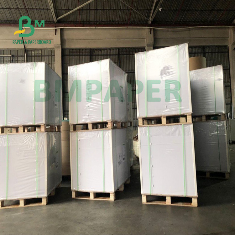 Water Resistance 200g + 20g PE Cup Base Paper Folding Resistance