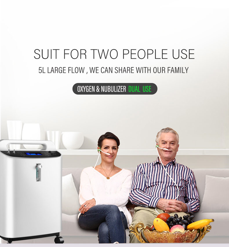 350W 5L Oxygen Concentrator For Home Cooper Compressor 55DB