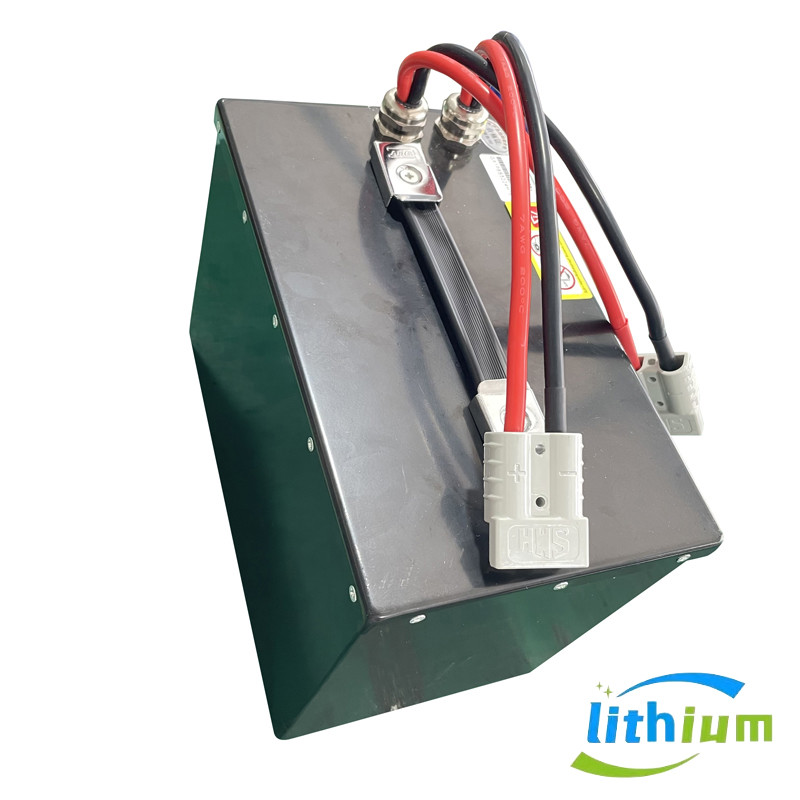LiFePO4 Lithium Battery With BMS Battery Managemenr System 24V 60ah