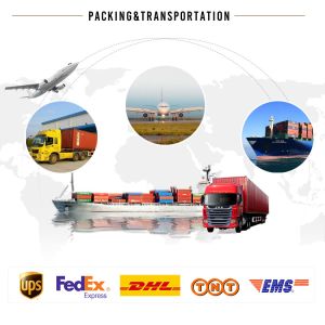 LZ-120 Cube Ice Making Machine with 30kg Ice Storage Capacity and 480W Power