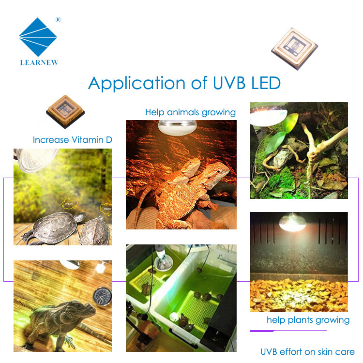 Ceramic SMD LED UVB LED CHIP 290nm 300nm 310MN 315nm 3535 Chip Led For Animal Calcium Supplement