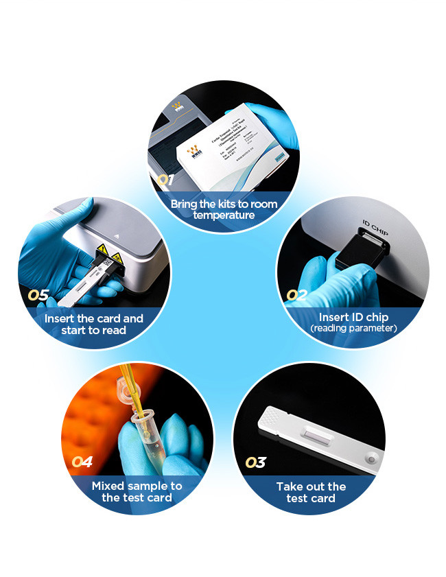Progesterone Prog Rapid Quantitative Test Fluorescence Immunoassay