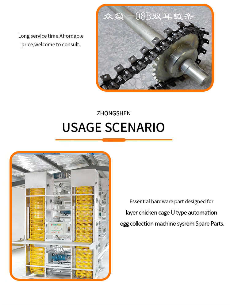 Egg Collection Machine 304 Stainless Steel Double Ear Chain 1.5 Meters/strip