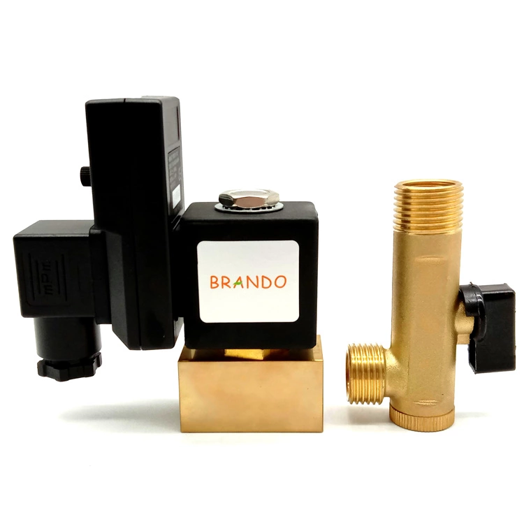 6013  Type 1/4'' NPT 2/2 Way Direct Acting Plunger Operated Brass Solenoid Valve 6