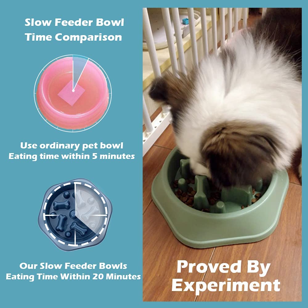 Pet Slow Feeder Dog Bowl Plastic Anti-Gulping Food Plate Feeding Dogs and Cats Bowls
