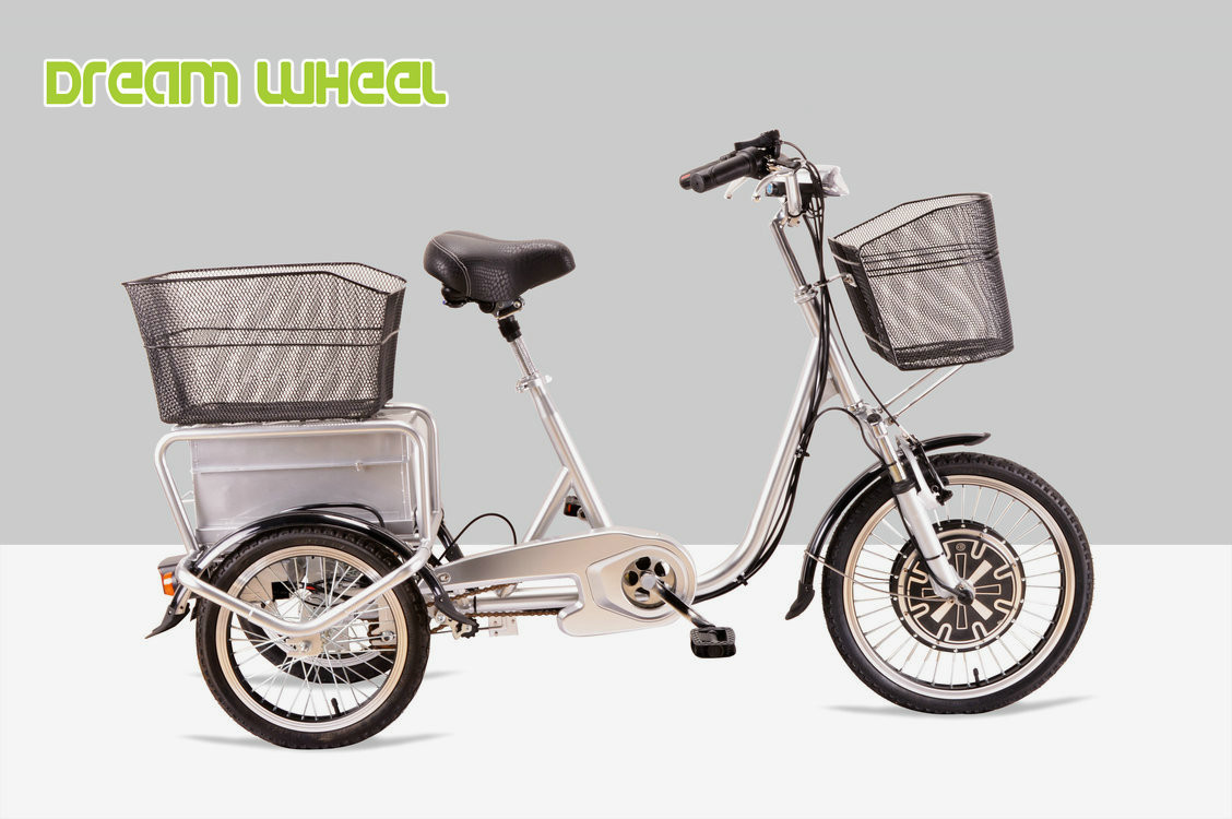25km/H Pedal Assist Electric Trike 48V 350W Brushless Motor