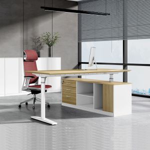 Modern Electric Height Adjustable Desk Ergonomic Executive Standing Desk