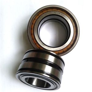 Full Complement Cylindrical Roller Bearings SL04 5010 PP