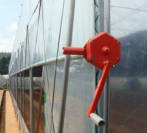 Section 1 / 2m Polyethylene Film Greenhouse Lower Temperature Reduce Humidity Available