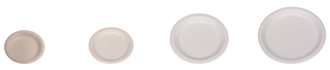 Disposable 10 Inch Compostable Biodegradable Sugarcane Bagasse Plates