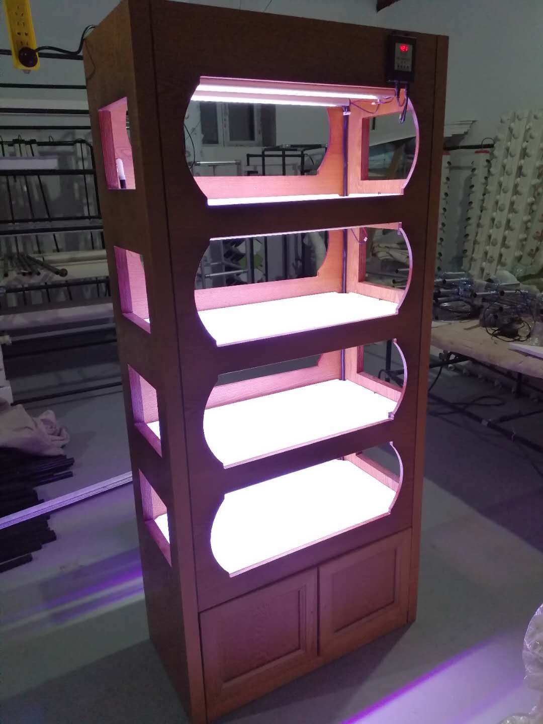 Greenhouse Agriculture Iot Vertical Factory For Modern Agriculture