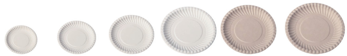 Disposable 10 Inch Compostable Biodegradable Sugarcane Bagasse Plates