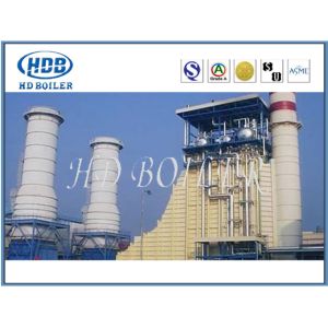 Vertical Customized HRSG Heat Recovery Steam Generator In Power Station