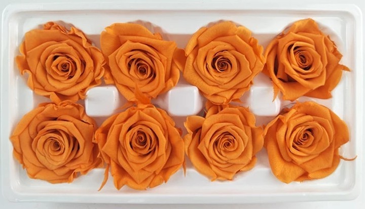 Wholesale 6-7cm preserved flower dried roses natural stabilized rose