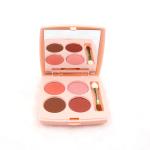 ODM Portable Matte Single Color Eyeshadow Palette For Beginners
