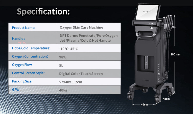 New Design 6 in1 Skin Oxygen Skin Facial Machine with Plasma