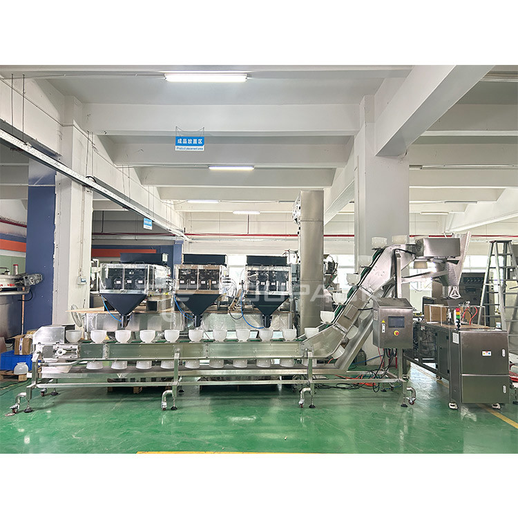 Mixed Nuts And Dried Fruits Linear Weigher Packing Machine With Conveyor Pre-Made Bag Packing Machine