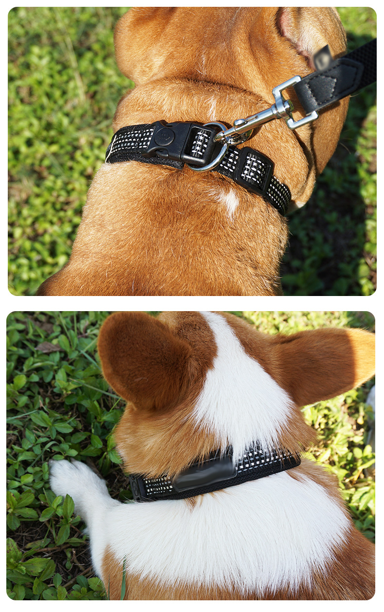 Black Flashing Luminous Dog Collar Custom S M L LED Light Up Dog Collar