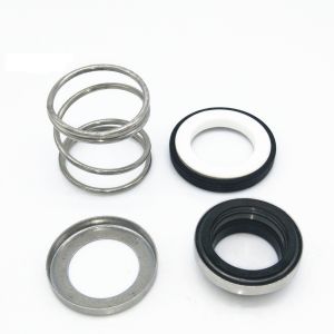 Single Spring Mechanical Seal 166T For AESSEAL Replace FLOWSERVE 21