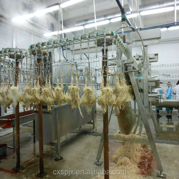 High Productivity Poultry Slaughter Equipment for Customized Slaughterhouse Machine