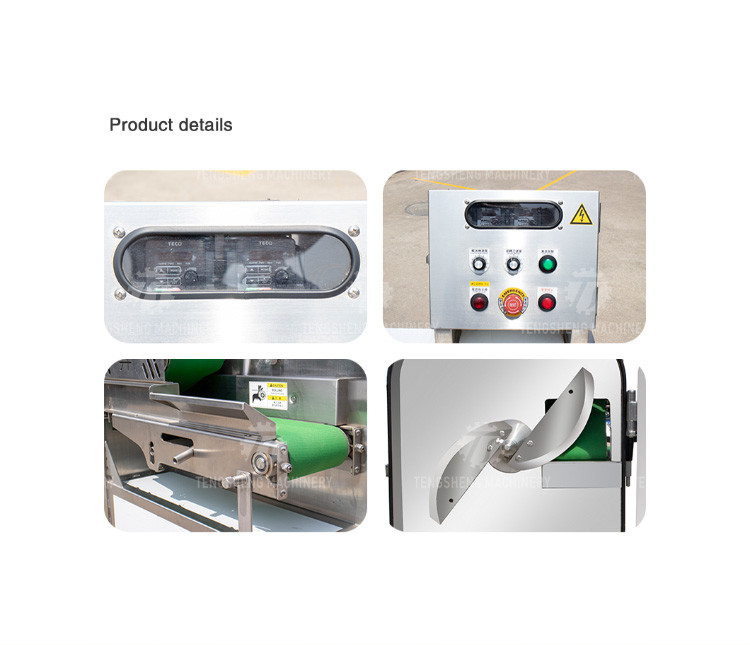 1200KG/H Vegetable Processing Machine Agricultural Automatic Fruit Cutter